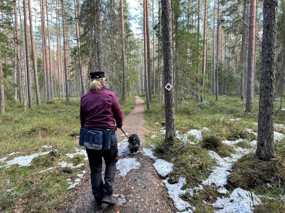 Punatulkku trail at Liesjärvi National Park