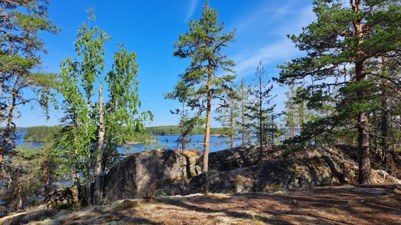 Kaivannon kieppi trail in Puumala