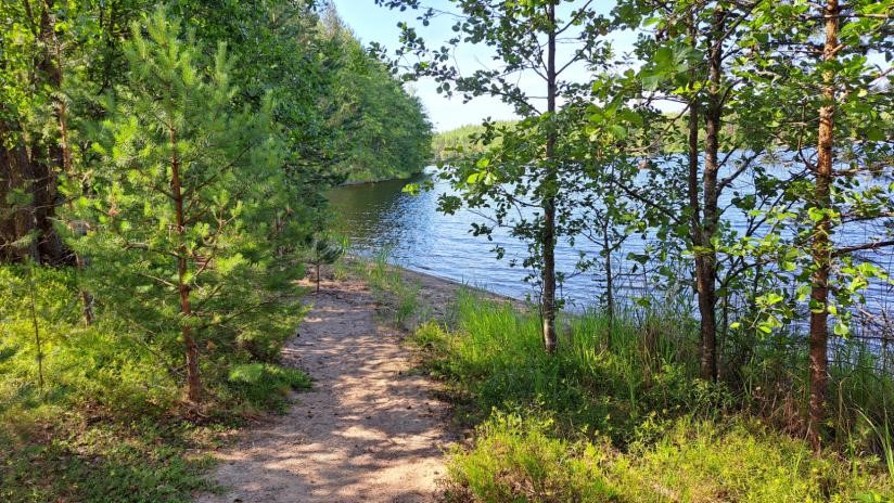 Norppapolku trail leading to a beach