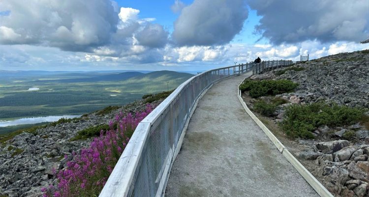 Levi Peak Trail