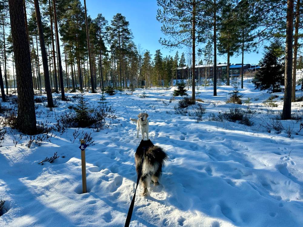 Eerikkilä Sport and Outdoor Resort