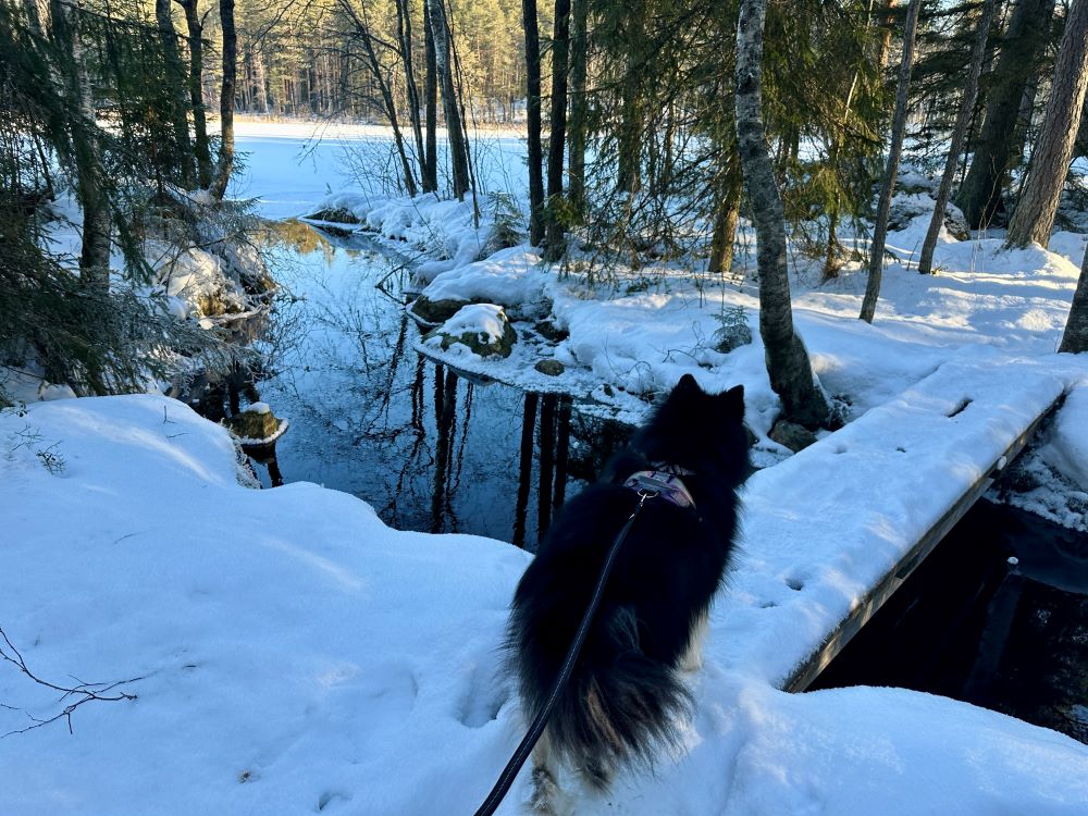 Eerikkilä orange hiking trail bridge