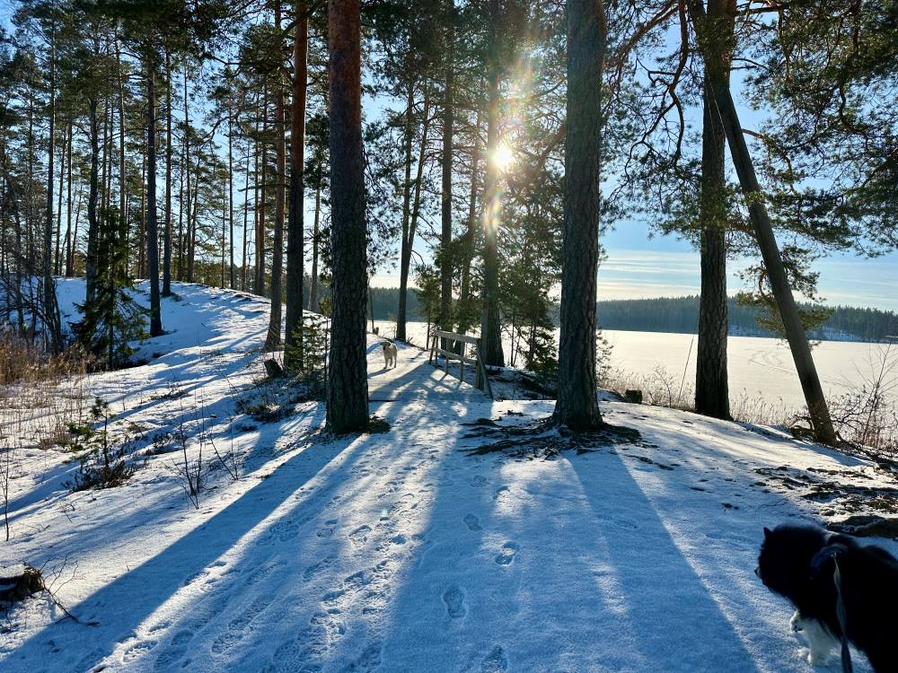 Ruostejärvi Leppilampi ridge and bridge