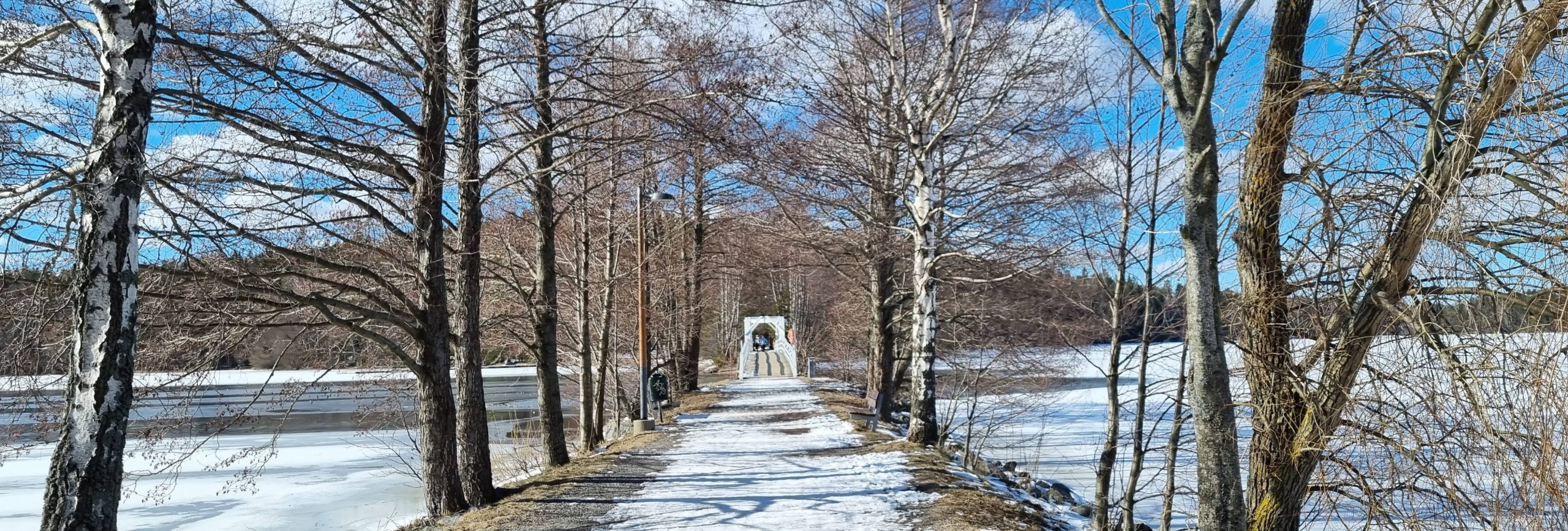 Liessaari Lohja