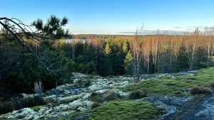 Discover the stunning views of Nenusta Trail in Teijo National Park