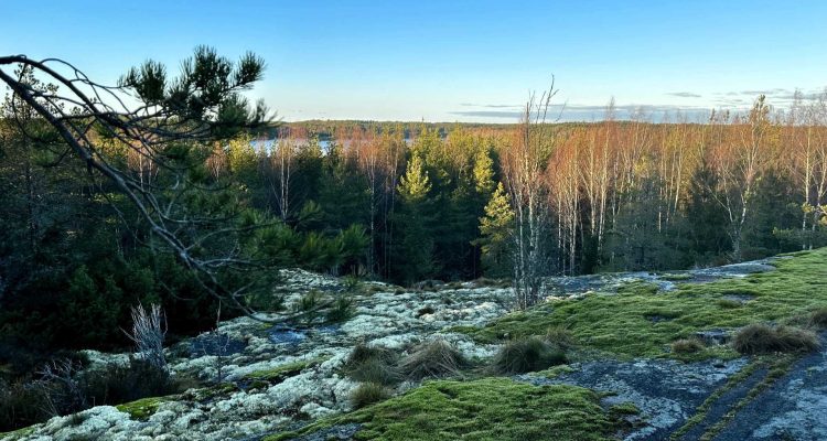 Discover the stunning views of Nenusta Trail in Teijo National Park