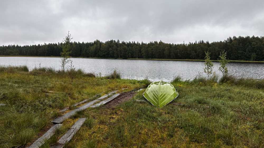 Metsäjärvi lake in Säkylä