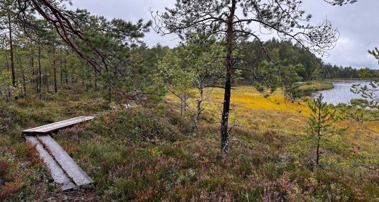 Charming Metsäjärvi in Säkylä