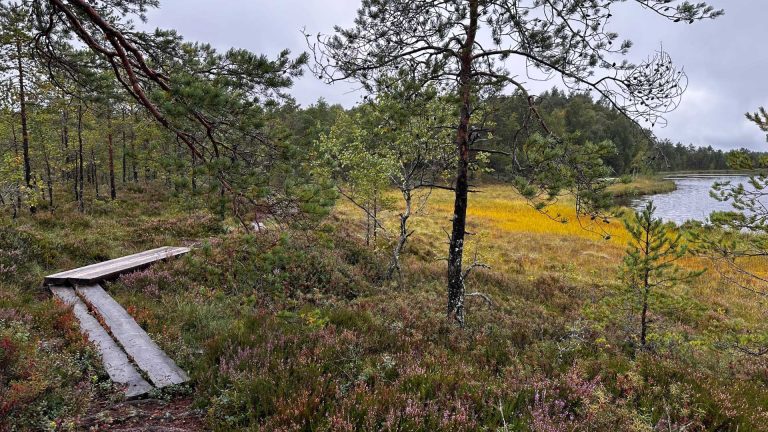 Charming Metsäjärvi recreation area in Säkylä