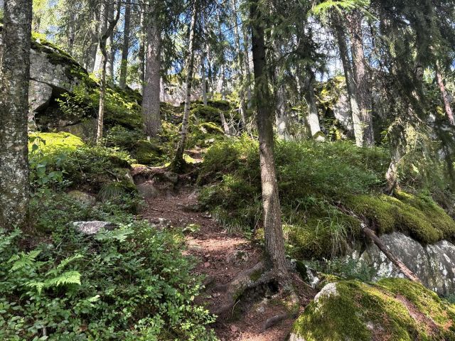 We just climbed a steep hill in Paimio, Southwest Finland, and stepped back in time to the Bronze Age at Rekottila! 🏰 From mysterious rock paintings and ancient castle ruins to age-old burial cairns, this site is a hidden gem filled with history and mystery. Read more on our blog 👉 Link in bio

#TravelBackInTime #BronzeAgeVibes #HiddenGems #finlandexplored #Paimio #castleruins #rockart #rockpaintings #BronzeAge #Finnishnature #burialmound #burialcairn #rekottila #rekottilanlinnavuori #rekottilanmuinaispolku