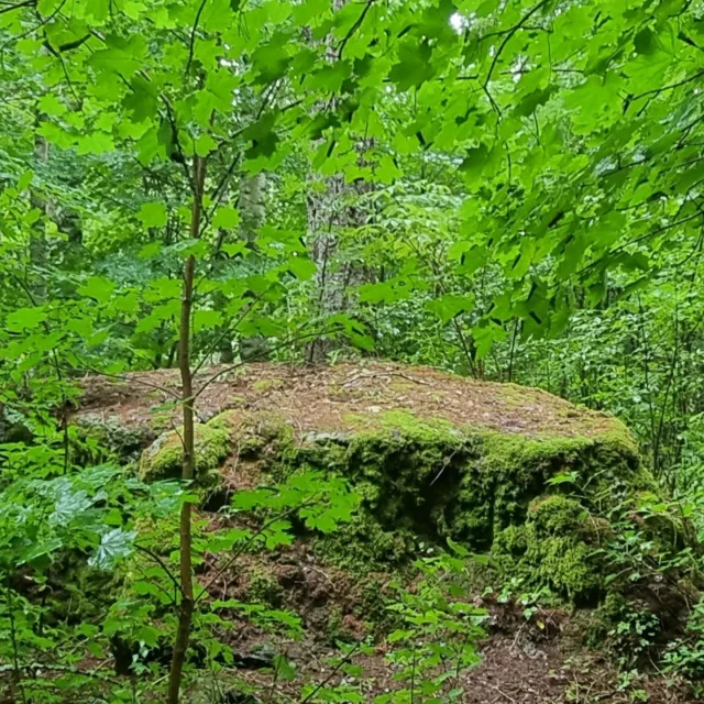 Cup-marked stones? Ever seen them? 
We did. At Hartola in Southern Finland. Check out details in our bio #historicalplace #ancientgods #mythology