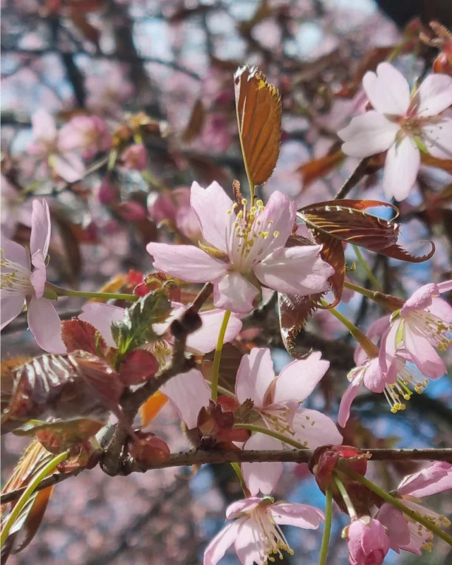 Happy #may1st! Hyvää #vappu'a!