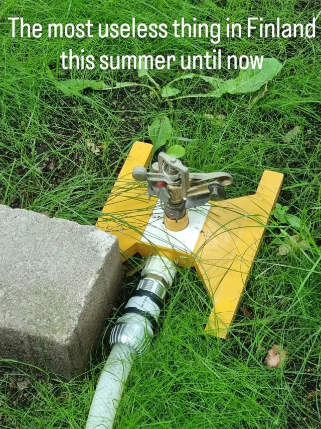 ☔️☔️☔️☔️☔️

#finnishsummer #rainysummer #funnynotfunny #nordicsummer #weather